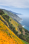 The Way of Story at Esalen, August 11 – 16, 2013
