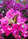 Heal Your Self with Writing at Rancho del Malibu – October 12, 2013