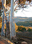 Heal Your Self with Writing at the Ojai Retreat, Sept 27-29