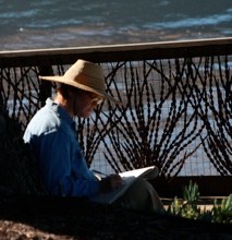 The Writing Cure