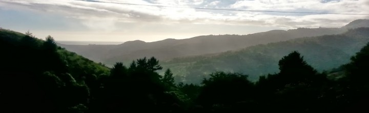 On the Road in Marin County, CA   March 2014