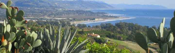 What Coming Home to Pacifica Means to Me