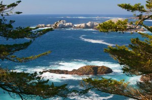 Summer teaching & musing