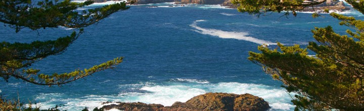 Esalen 2016 – Whales & Writers Abound!