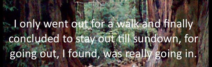 What Story Are You Living? in Sequoia National Park June 16-19