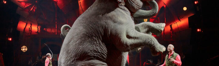 Elephants & Perspectives